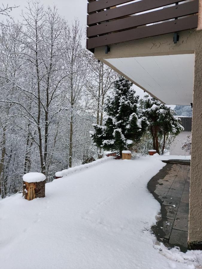 Ferienhaus Barbey Sankt Blasien Exteriör bild