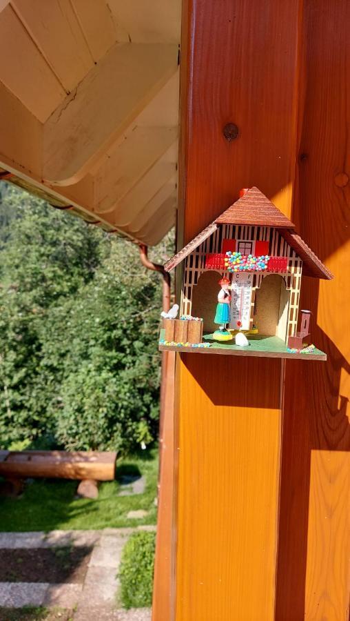 Ferienhaus Barbey Sankt Blasien Exteriör bild