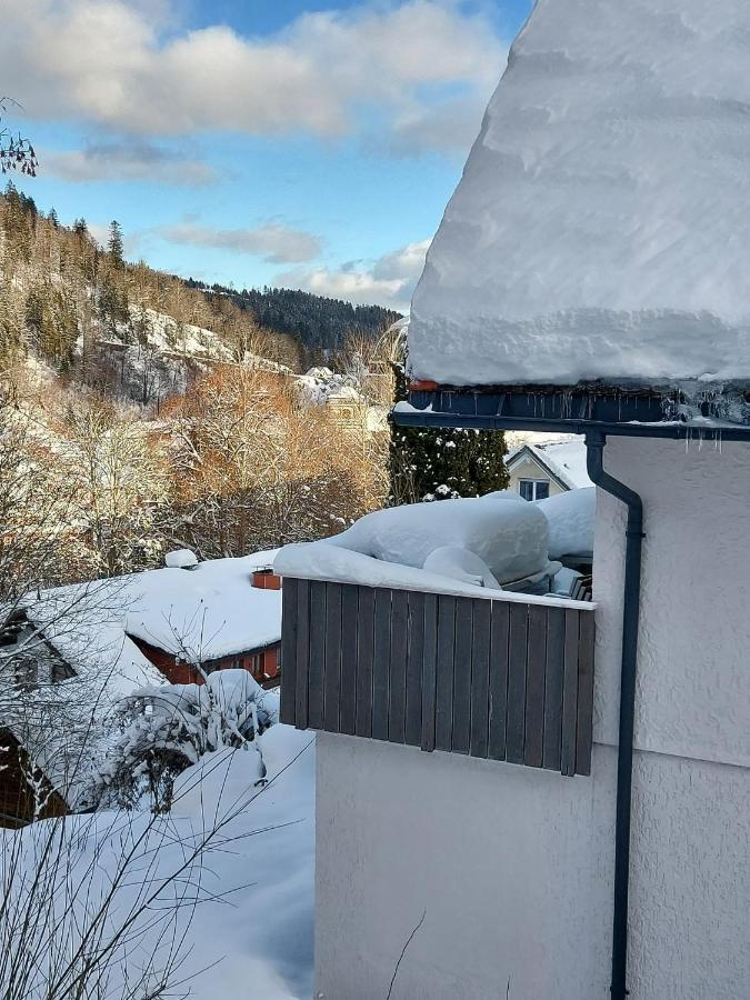 Ferienhaus Barbey Sankt Blasien Exteriör bild