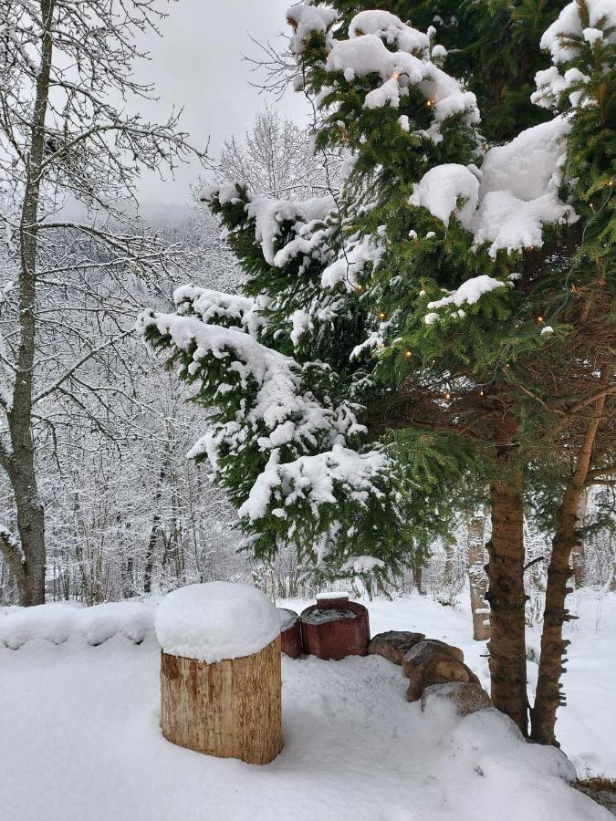 Ferienhaus Barbey Sankt Blasien Exteriör bild
