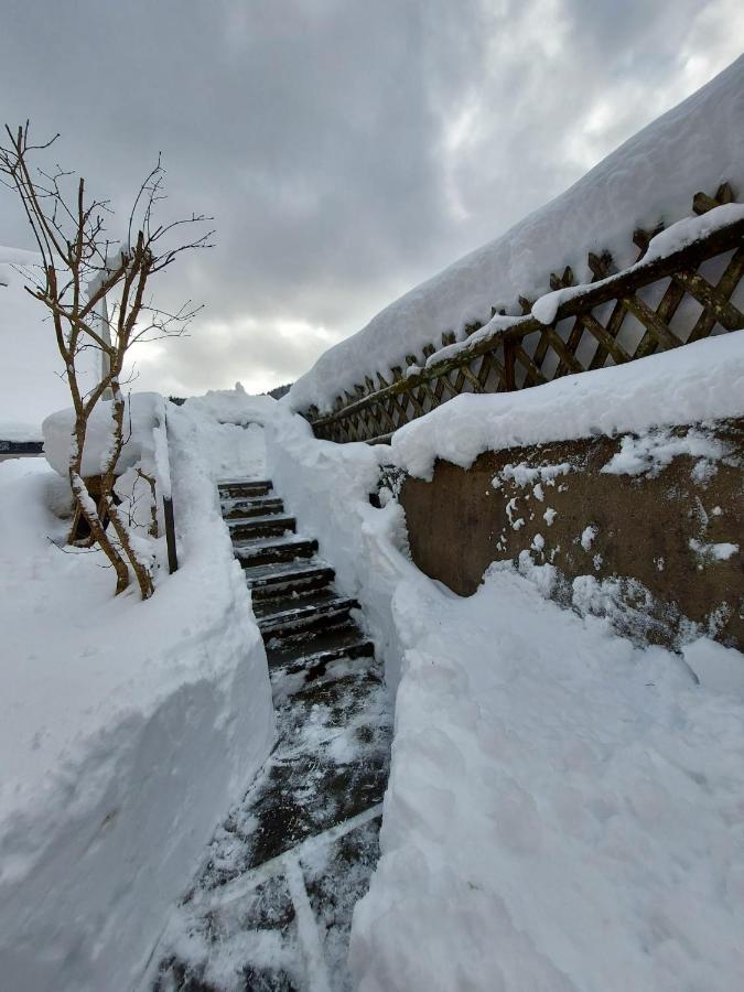 Ferienhaus Barbey Sankt Blasien Exteriör bild